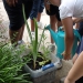 WEF Eco 2014 Service Project - 1