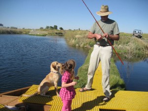 Fish Fry Lake has northern yellow perch, black crappie, and Yellowstone cutthroat trout. FTWs also can support tilapia, catfish, carp, freshwater shrimp, and minnow species. Photo courtesy of Floating Island Interantioanl. 