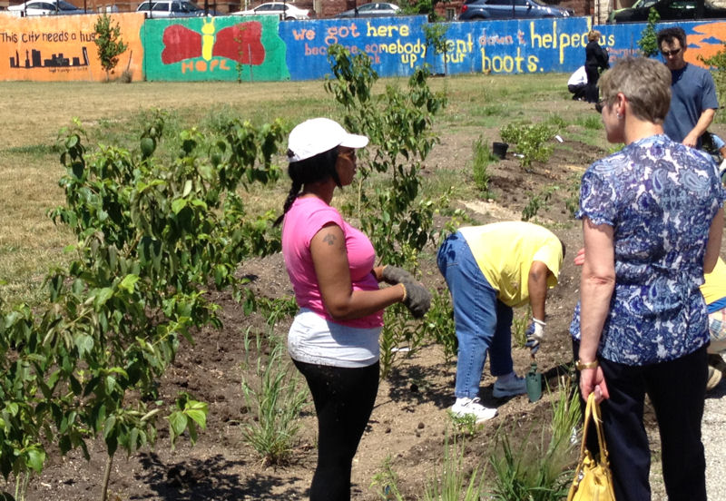 Volunteers plant rain garden at JE Howard Elementary. Photo courtesy of Williams.