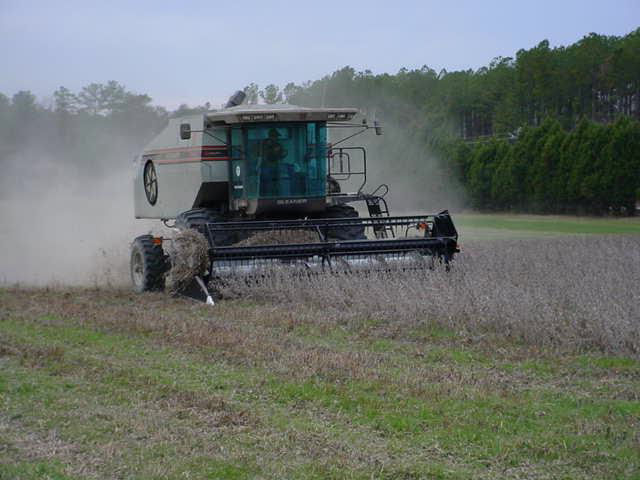 Neuse River harvests biofuel crops. Land area planted for biofuel crops has expaneded from 11 ha (27 ac) in 2010 to 30 ha (75 ac) in 2012. Photo courtesy of the City of Raleigh.