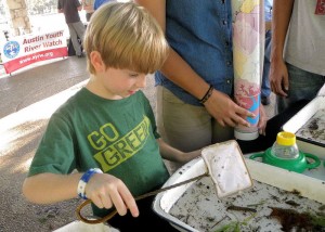 A student studies macroinvertebrated during an Austin World Water Monitoring Challenge event. Photo ourtesy of the City of Austin.