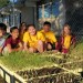 Students in Louisiana grow seedlings in schoolyard nurseries that will later be planted to restore coastal areas. This student opportunity was made possible by a NOAA B-WET grant to Louisiana State University. Photo courtesy of NOAA Gulf of Mexico B-WET.