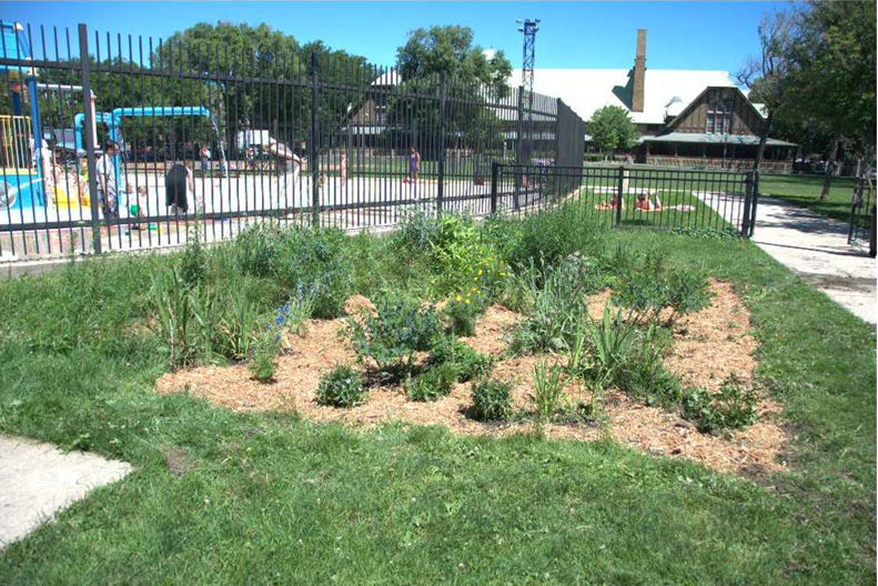By 2010, the rain garden built at Pulaski Park had developed into a fully functioning green space. Photo courtesy of Falconer. 