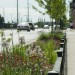 The green street, Blue Island Avenue and Cermak Road in Chicago’s Pilsen neighborhood, features vegetated planters, bioswales, rain gardens and below-ground infiltration basins. The Metropolitan Water Reclamation District of Greater Chicago (MWRD) started monitoring the area in 2009 to find that the street caputures up to 80% of a 25.4-mm (1-in.) in 5-hour storm. Photo courtesy of Dan Wendt, MWRD.