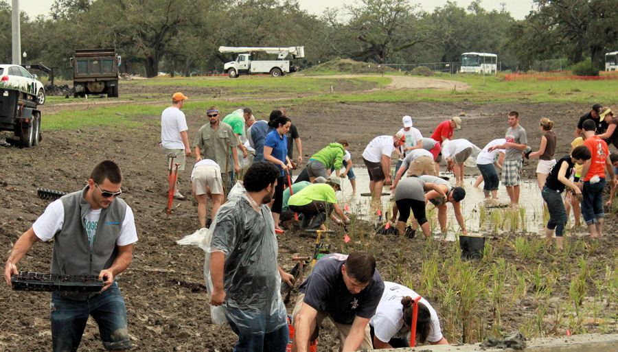 WEFTEC 2012 “Bogging in the Big Easy” service project volunteers help plant a wetland area in New Orleans. Photo courtesy of Falconer.