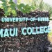 University of Hawai Maui-Sign