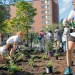WEFTEC 2015 Service project Planting Featured