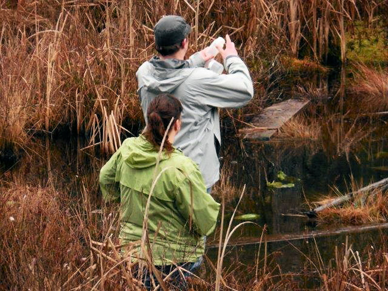 During the Advanced Limnology and Reservoir Ecology class, students take water samples from a wetland area of Sumner Lake that they tested in the laboratory. Photo courtesy of Skagit Valley College.