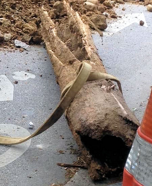 About five sections of wooden water mains measuring 1.8- to 3.6-m (6- to 12-ft) long were recovered in May. Photo courtesy of the Philadelphia Water Department Historical Collection.