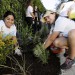 Service Project 2017 - Planting 1
